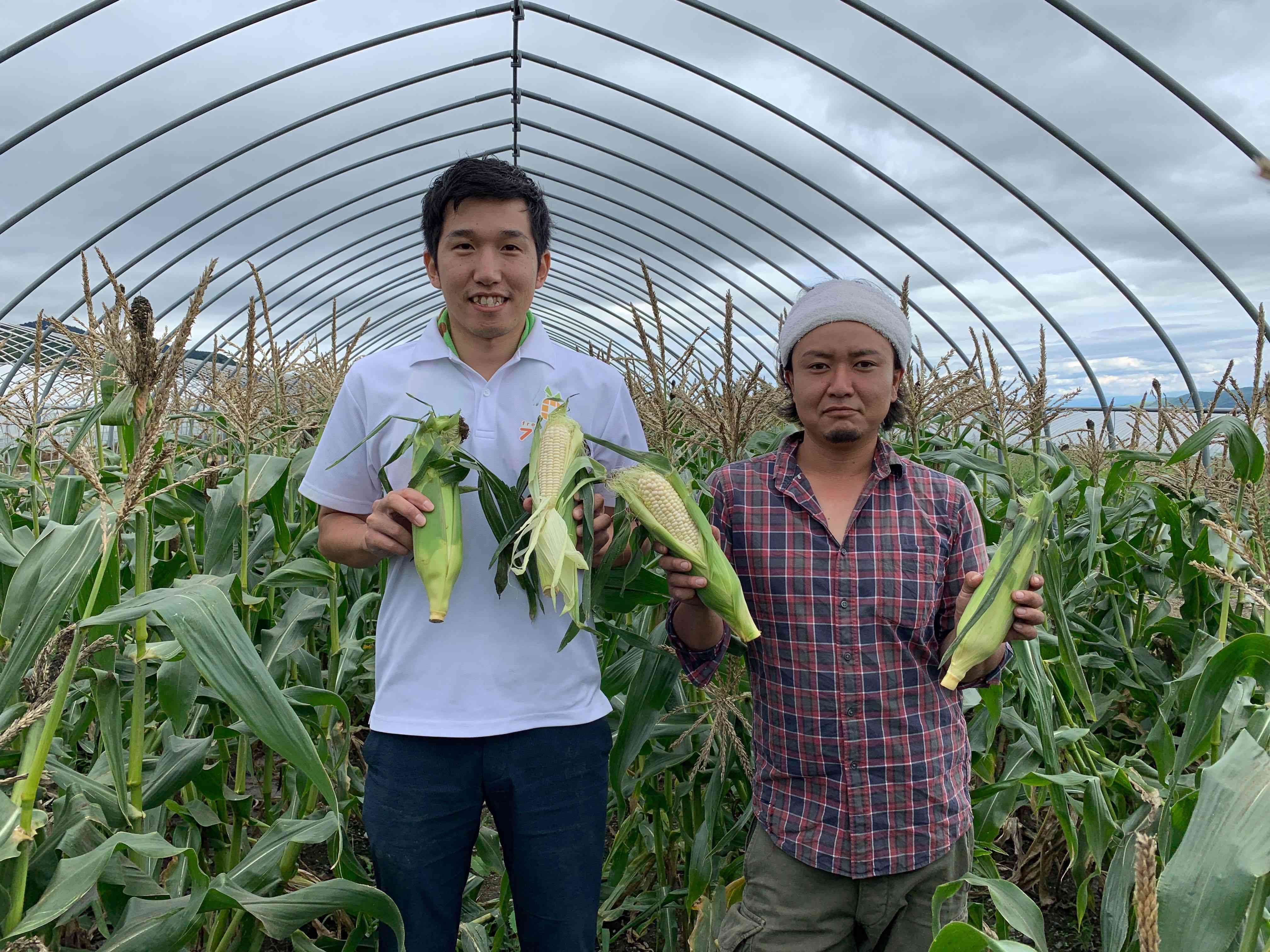 食品ロス削減 『フリフル』共創プロジェクト