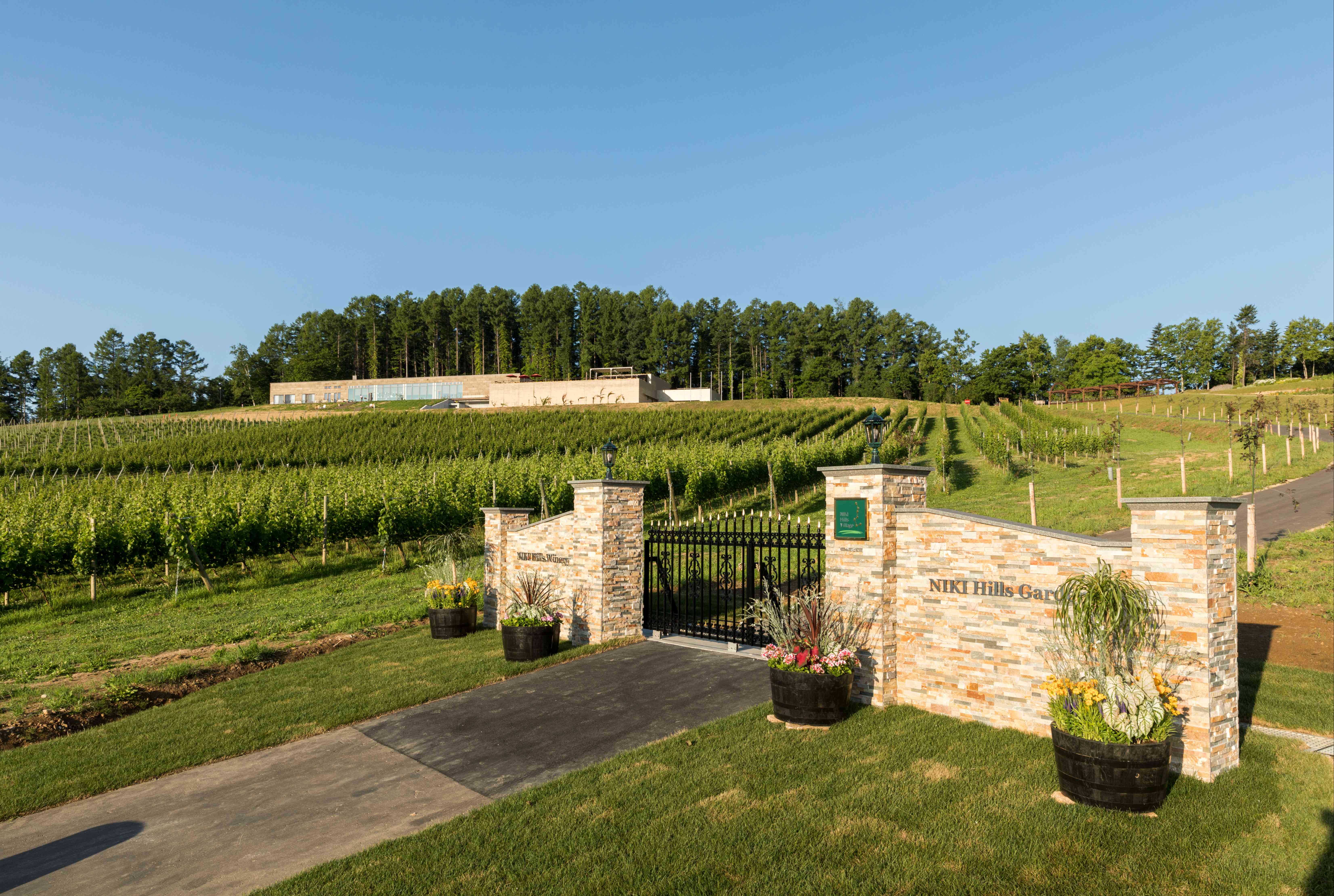 地方創生 NIKI Hills ワイナリー