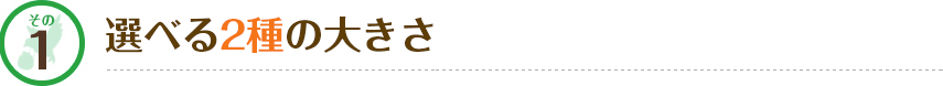 その1 選べる2種の大きさ