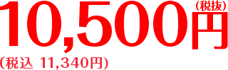 10,500円 税込 (税込 11,340円）