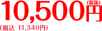 10,500円 税込 (税込 11,340円）
